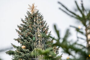 Kauno miesto savivaldybė Liko vos kelios dienos iki Kauno eglės