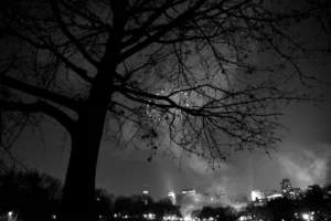 „First Insight“ pristato pokalbio AI mažmeninėje prekyboje